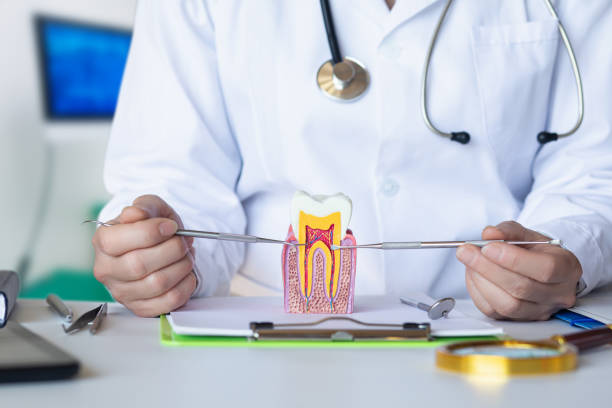 Best Emergency Dentist for Lost Fillings or Crowns in Bloomfield, MO